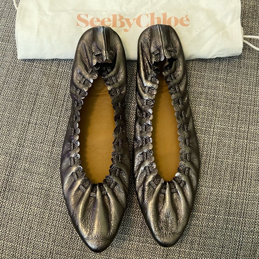 Chloe Metallic Silver Scalloped Pointy Ballet Flats